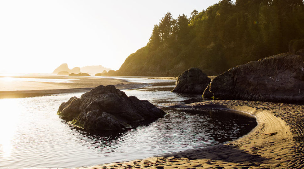 California's Lost Coast Is an Untamed Paradise—These Are Its Most Stunning Sights
