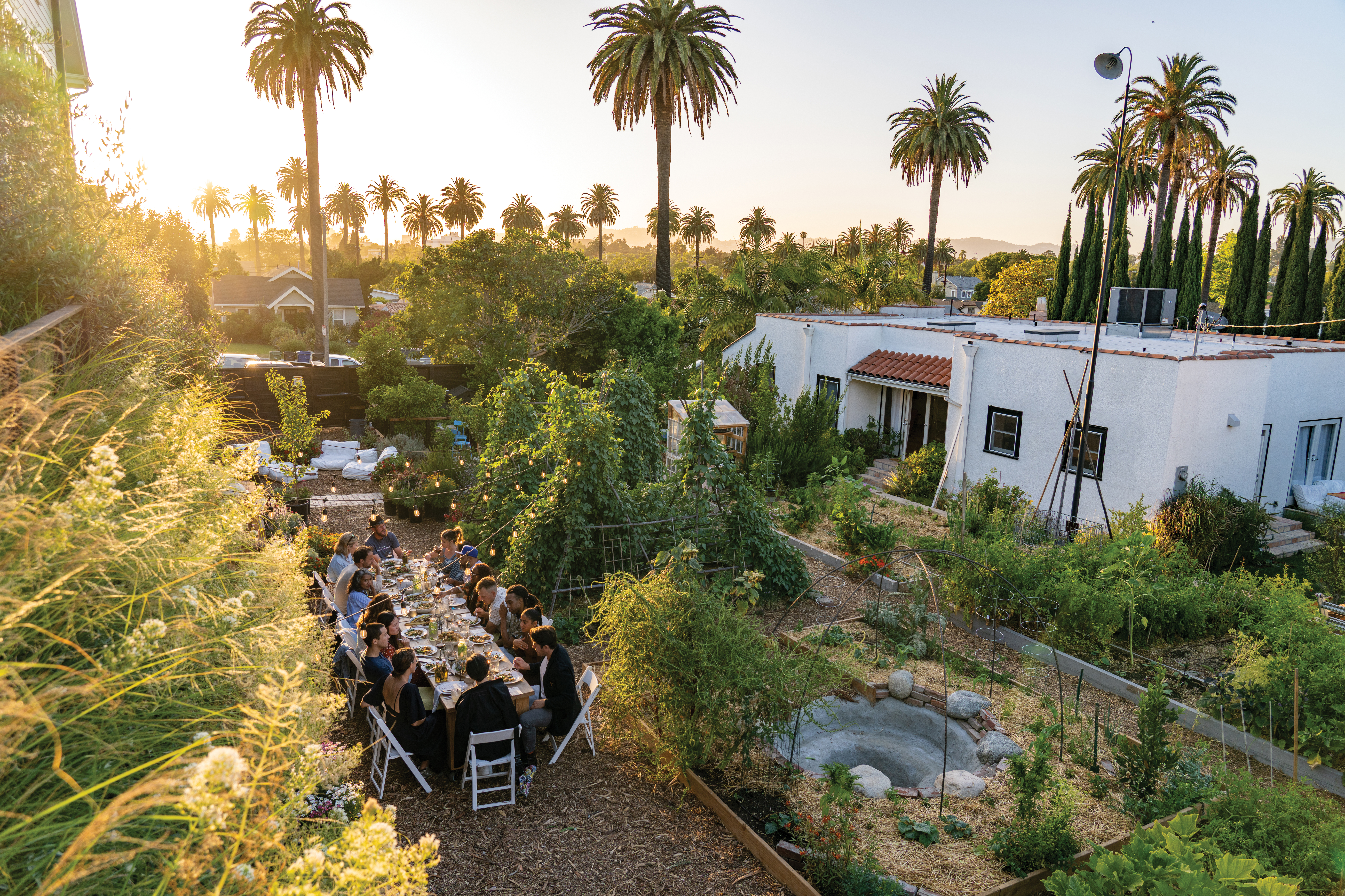 Little City Farm: Tour the Urban Farmstead in the Heart of L.A. - Vimarsana News