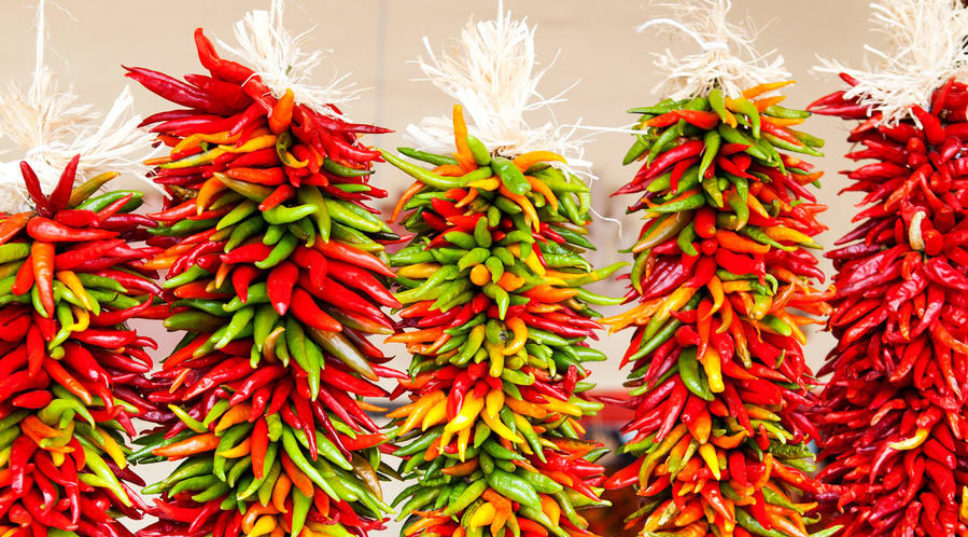 One Perfect Day in Hatch, NM