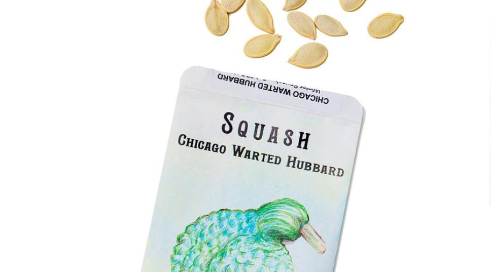 The Best Seed Companies, According to a Garden Editor