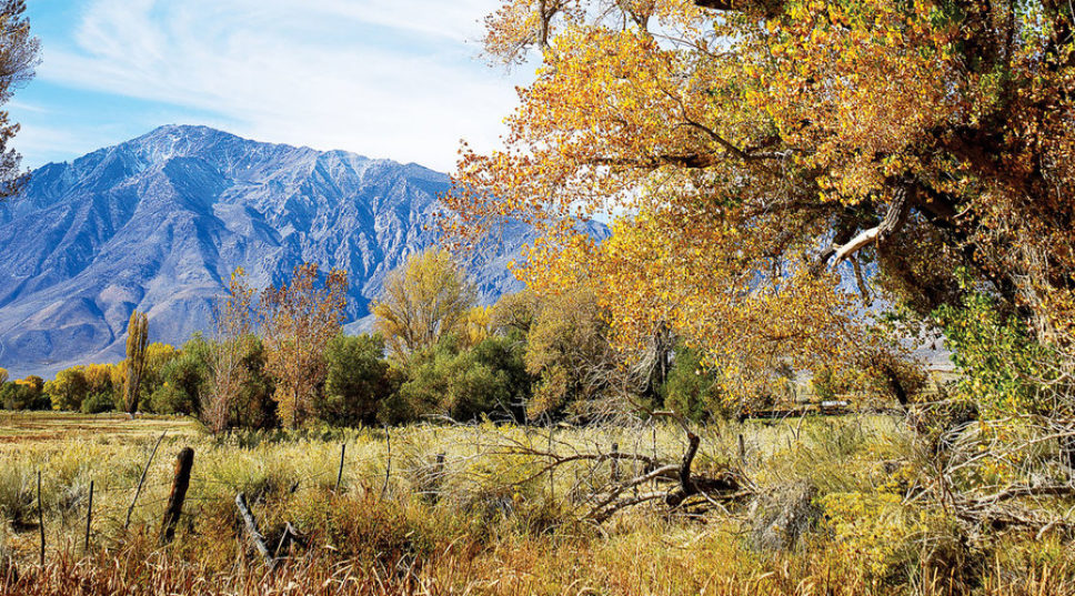 How to Really Soak up Fall