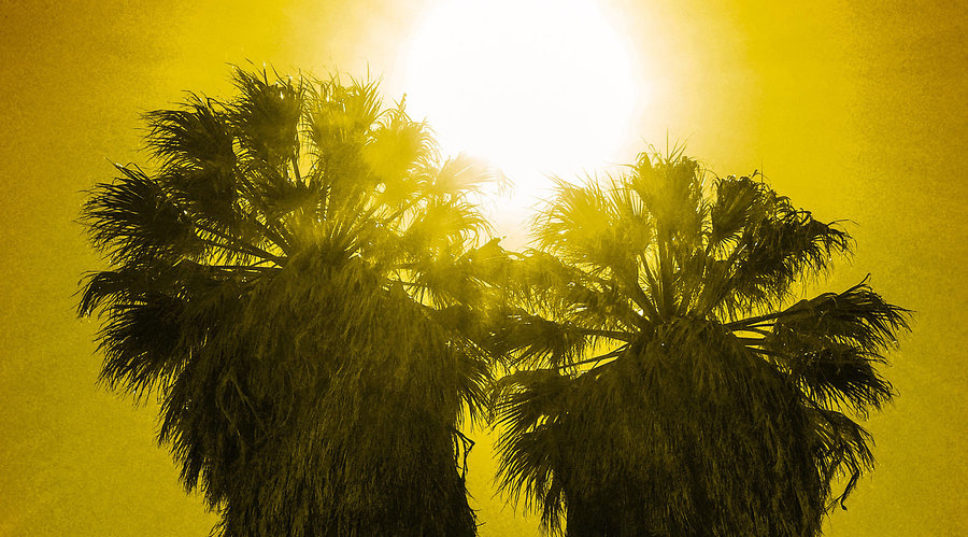 Joshua Tree N.P. Itineraries