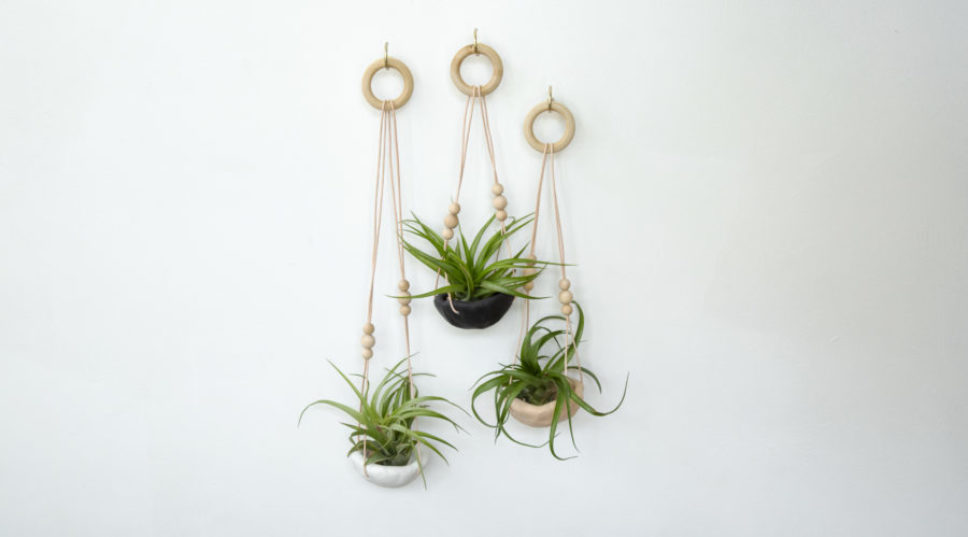 How to Make a Clay Air Plant Holder