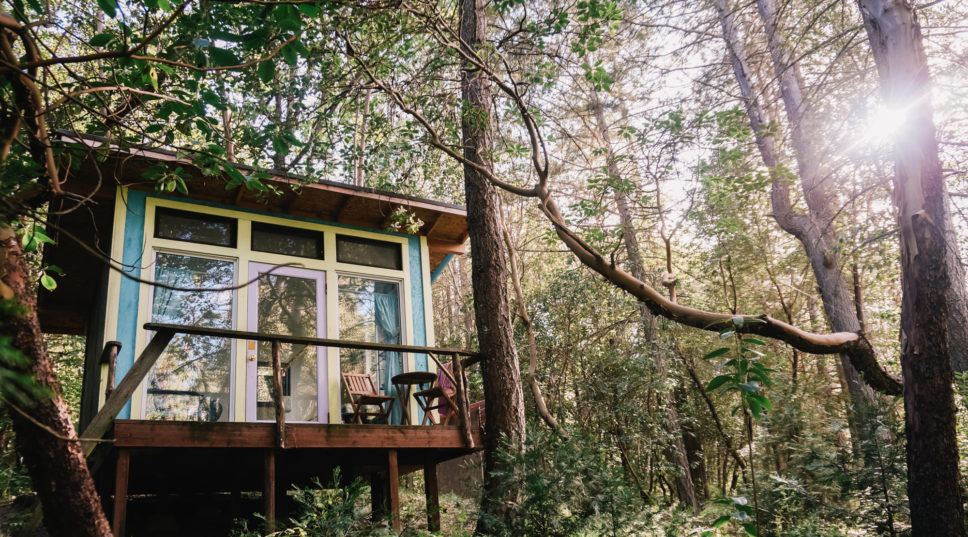 From a Treehouse to a Yurt with Camels, These Unique Camping Spots Are Not to Be Missed