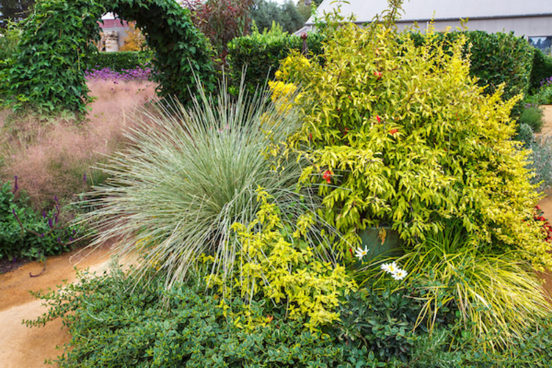 Companion Planting Sunset Magazine