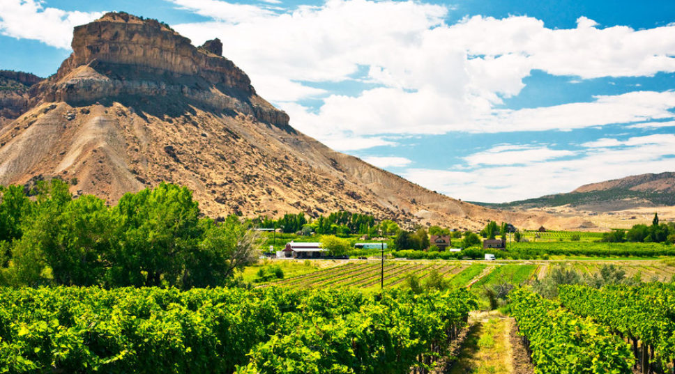 Vote for the West's Best Wine Regions