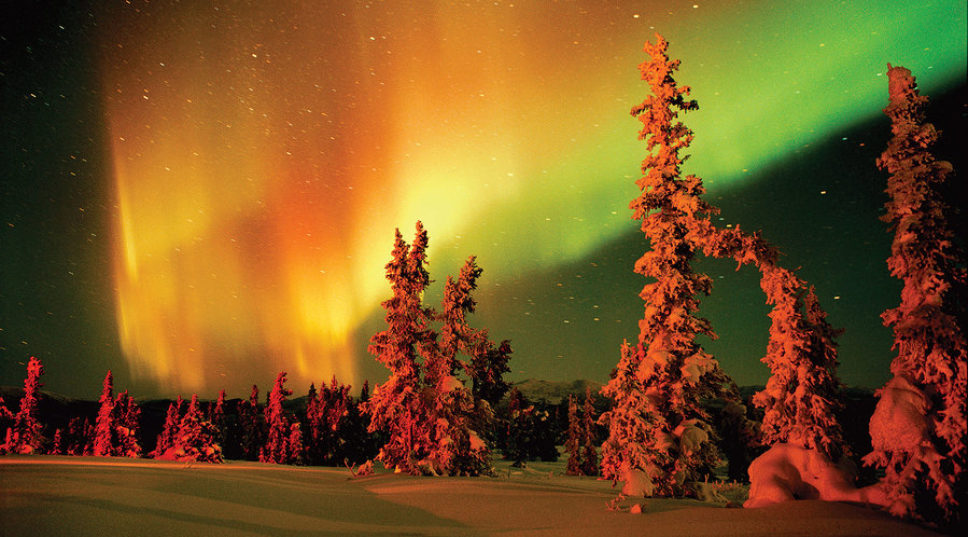 Essential No. 4: Aurora Borealis