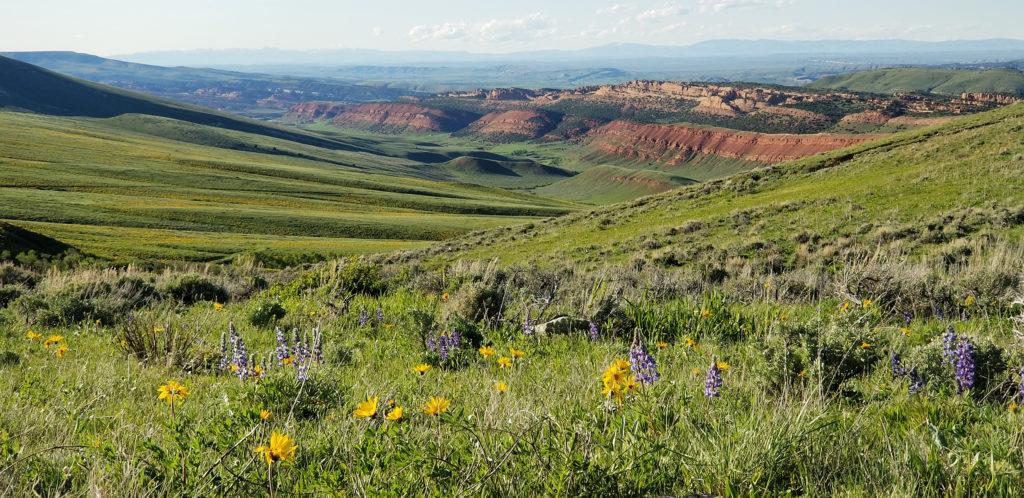 Wyoming Wind River Country