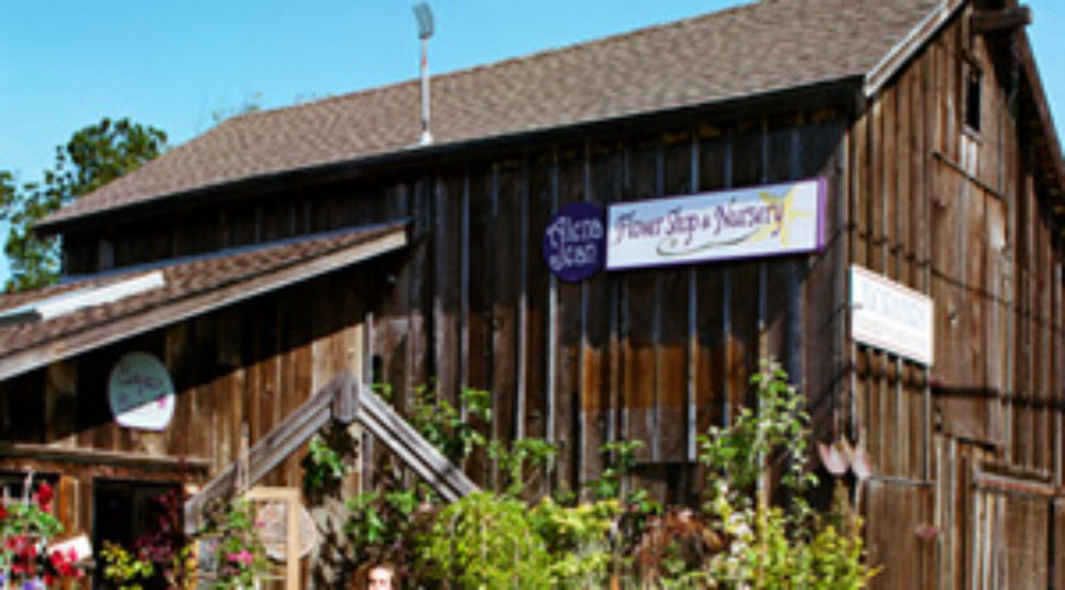 Alena Jean Flower Shop & Nursery