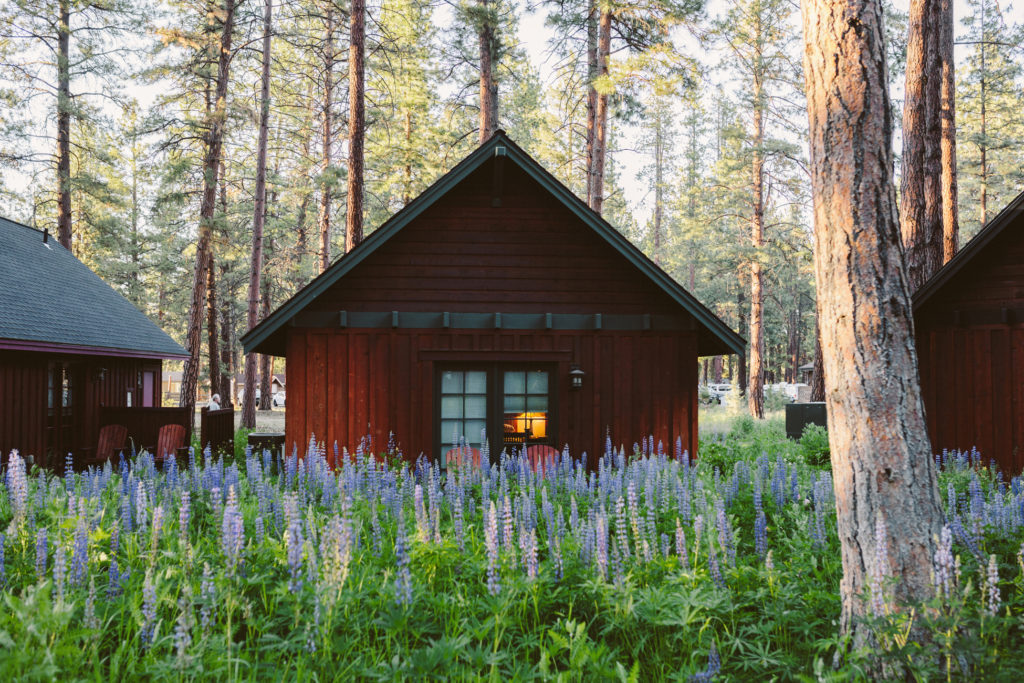 FivePine Lodge in Oregon