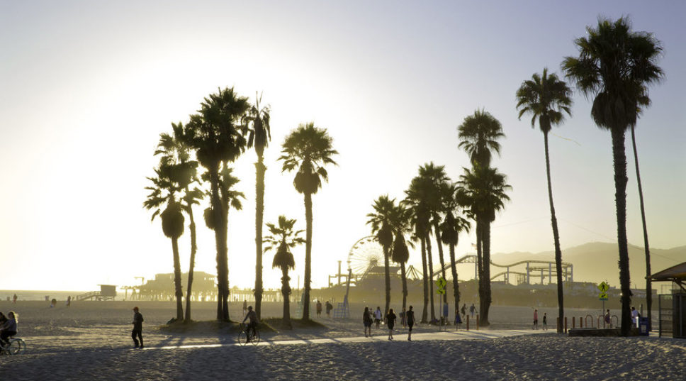 L.A.'s bright lights