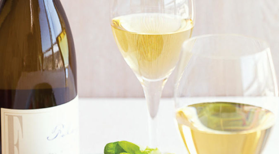 Chardonnay: rich and complex white