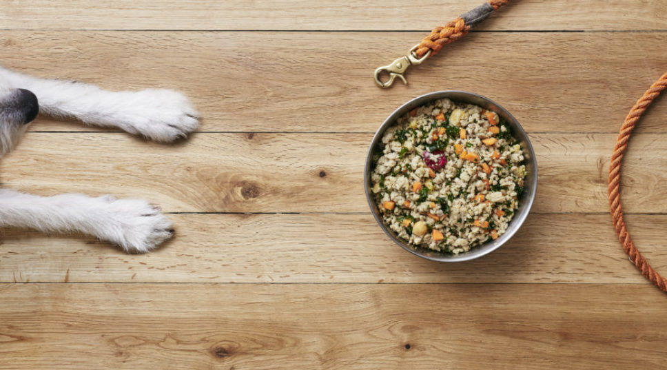 10 Best Healthy Pet Treats