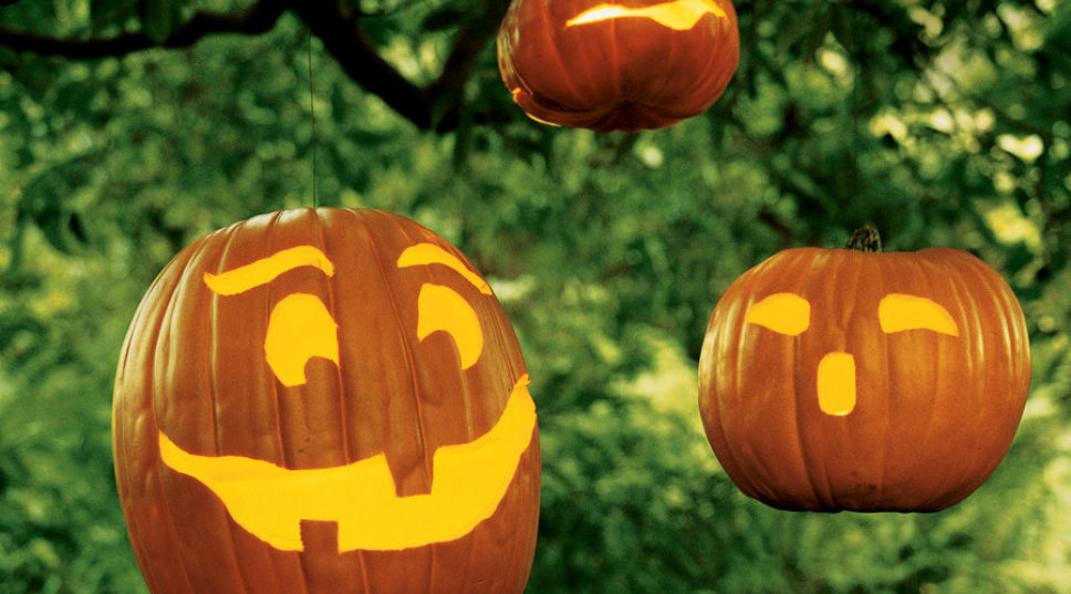 Floating Pumpkins