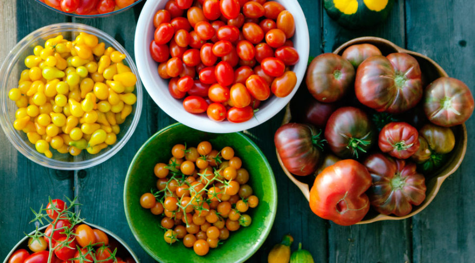 The Only Guide You Will Ever Need for Growing Tomatoes