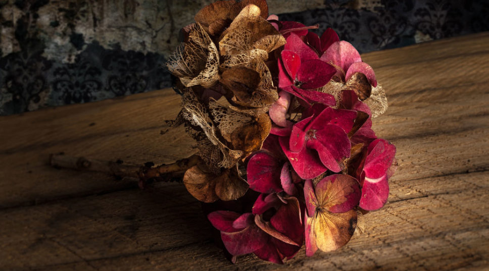 The Best Blooms for an Everlasting Dried-Flower Bouquet