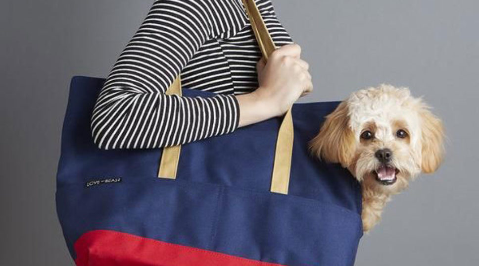 9 Stylish Pet Carriers