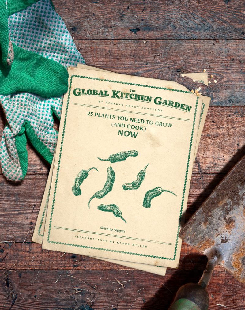 The Global Kitchen Garden 25 Plants You Need To Grow And Cook