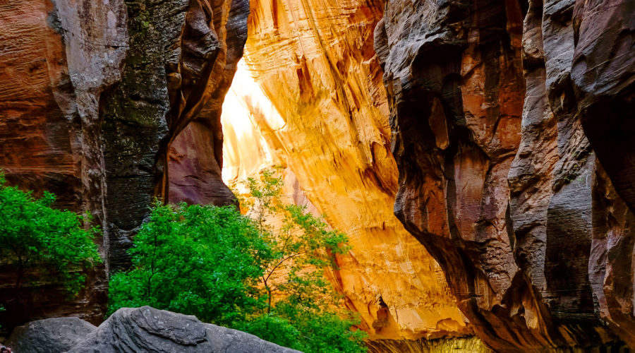 Comfortable Hiking in Zion National Park, UT