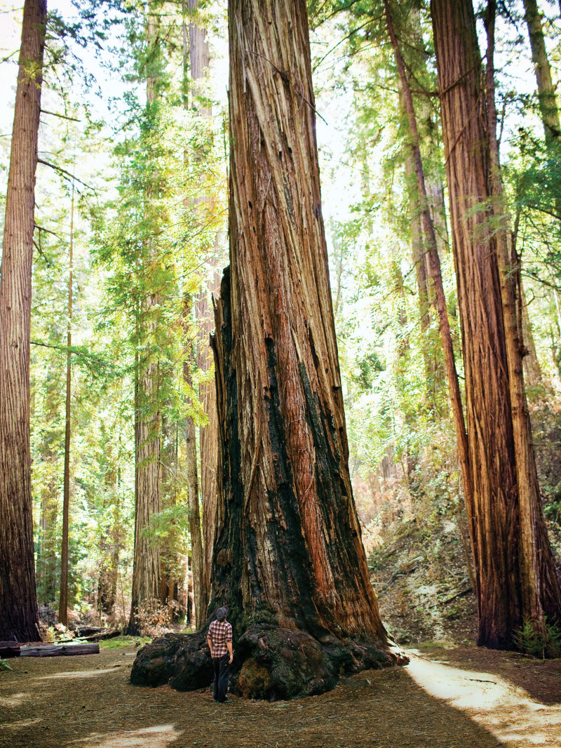 Day Trip Ukiah, CA Sunset Magazine