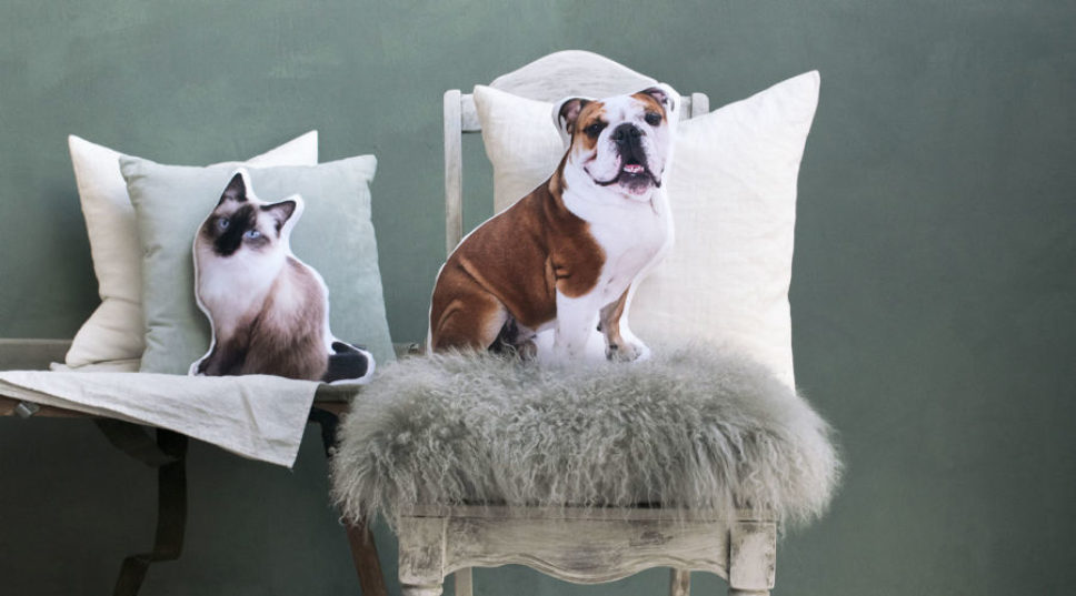 11 Great Gifts for Dogs & the People Who Love Them
