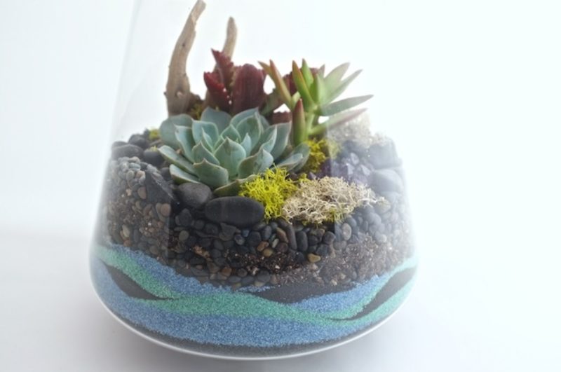 How to Make a Sand Terrarium Sunset Magazine