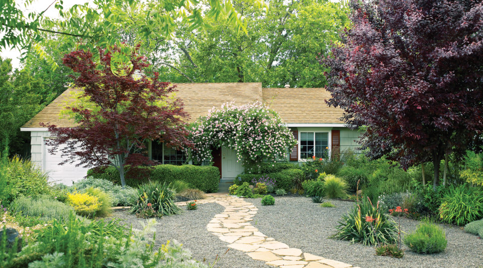 Lessons from a lawn-free makeover