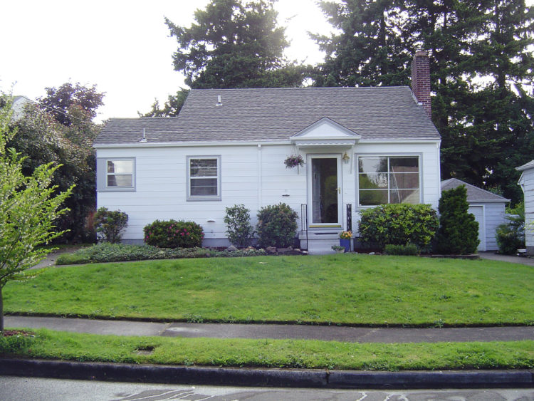 a-lot-of-lawn-and-a-lot-of-weeds