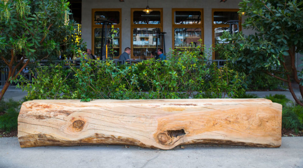 This Los Angeles Company Creates Reclaimed Lumber from Fallen Trees