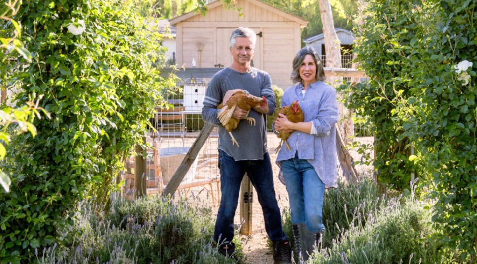 How to Create a Dreamy Working Homestead Farm