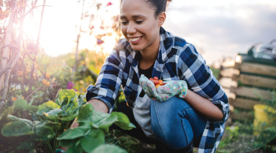 50+ Things to Do in Your Garden Now