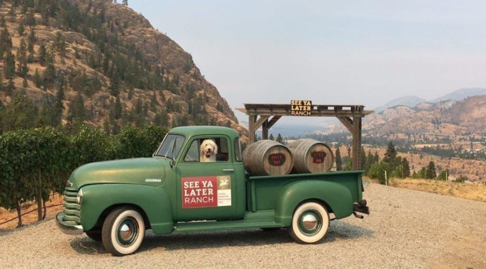 Wineries and Breweries Where You and Your Pet Are Welcome