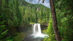 Koosah Falls, Oregon