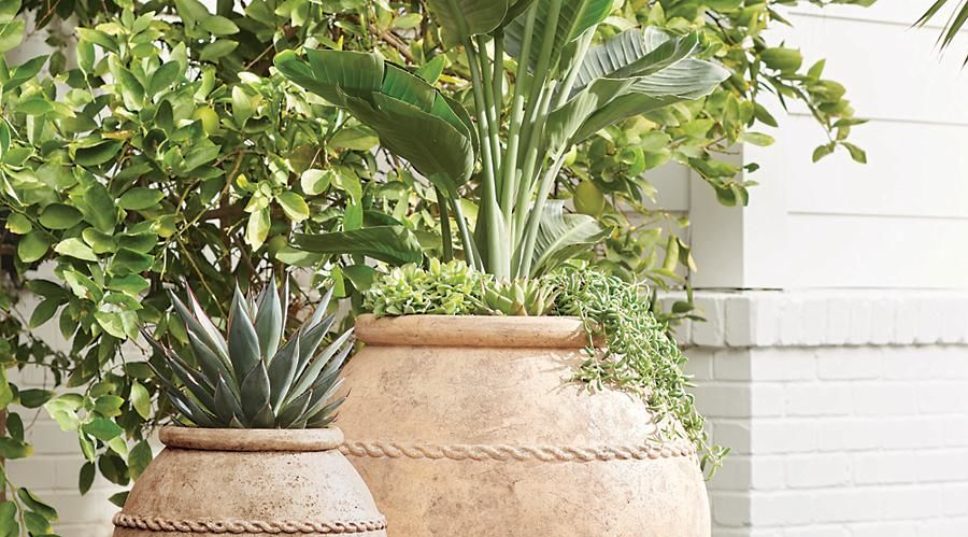 July 4th Sales: Six Garden Upgrades To Help You Grow