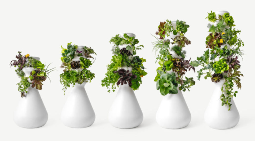 Hydroponic Garden Hacks: How to Grow Your Vegetables Like Zooey Deschanel