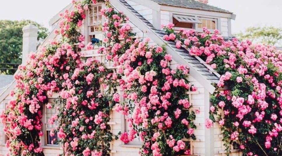 Best of the West: The Best Instagrams for Virtual Vacations, Design Inspo, Motivational Quotes, and More