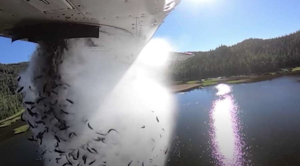 Watch This Wild Video of Aerial Fish Restocking Over Utah's Alpine Lakes