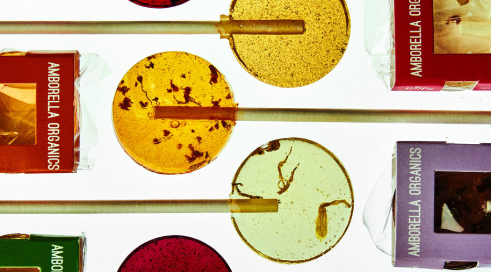 Our Kind of Halloween Candy: Lollipops That Grow All Sorts of Plants