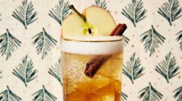 Apple Pie Cocktail in a tall glass, with cinnamon stick and apple round as garnish