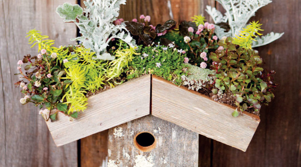 10 Garden Chores to Keep You Busy All Winter