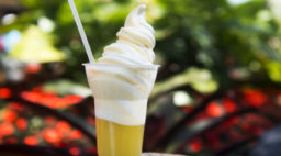 A cup of Dole Whip at Walt Disney World