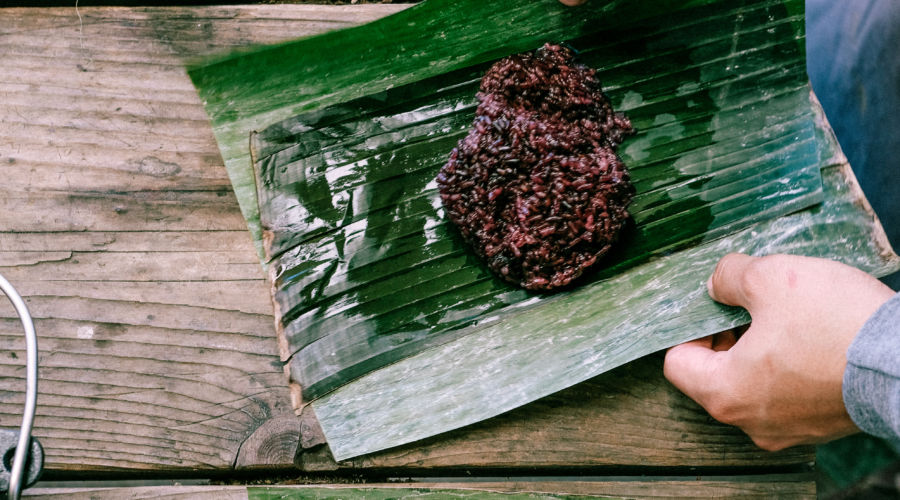 Grilled Coconut Sticky Rice