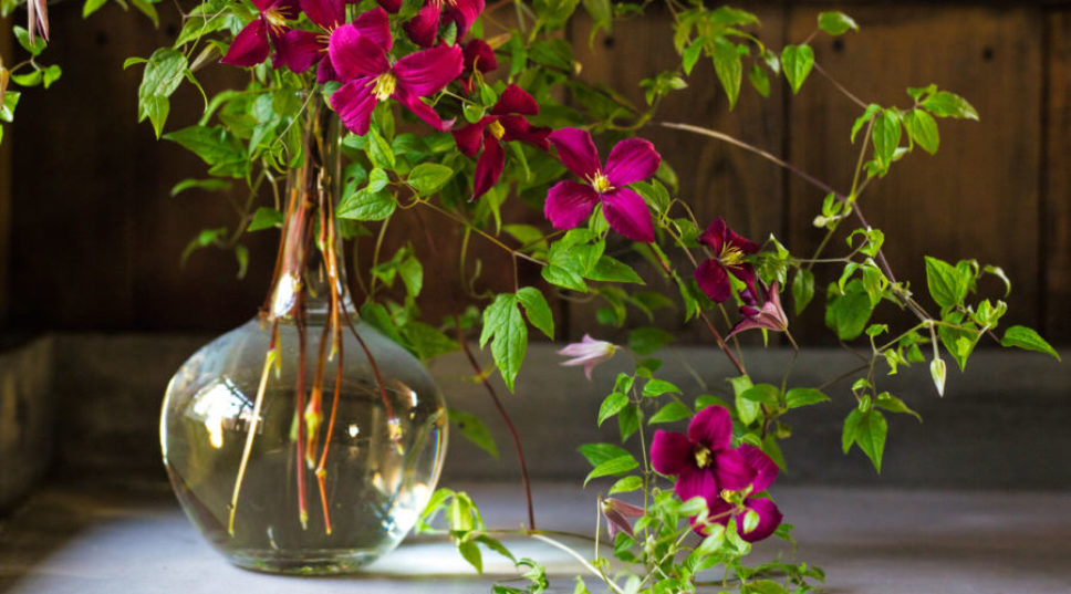21 Best Foraged Plants for Bouquets