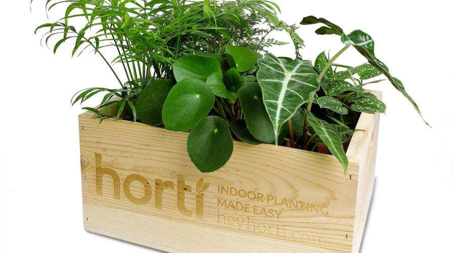 These Houseplant Subscription Services Guarantee You�ll Be