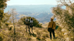 Mount Diablo View