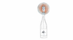one liter wine bottle illustration