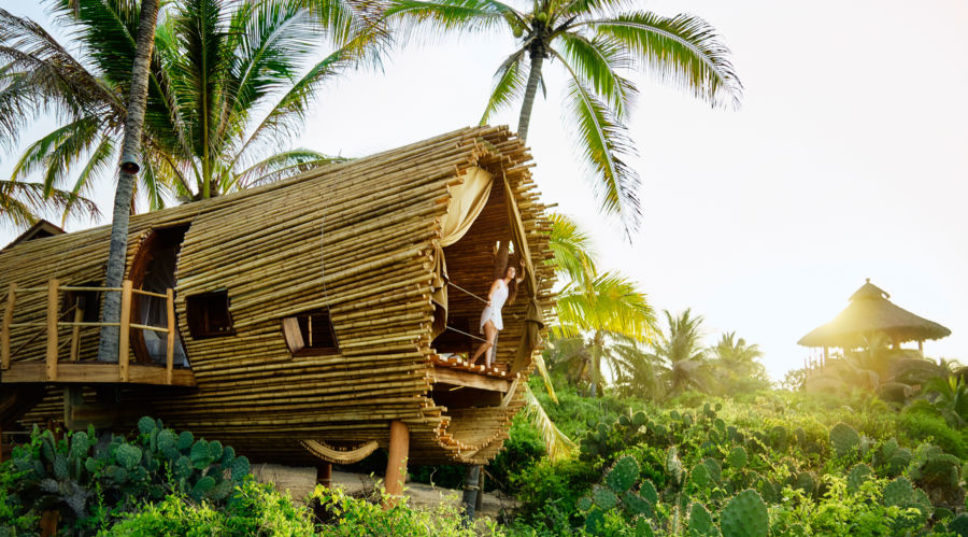 11 Amazing Treehouse Designs