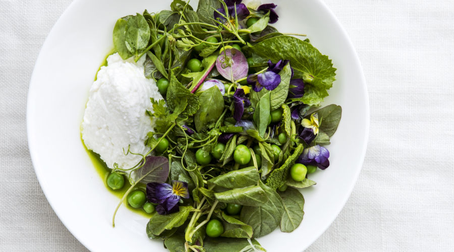 Spring Salads: Spring Greens and Peas with Ricotta and Preserved Lemon Herb Oil (0418)