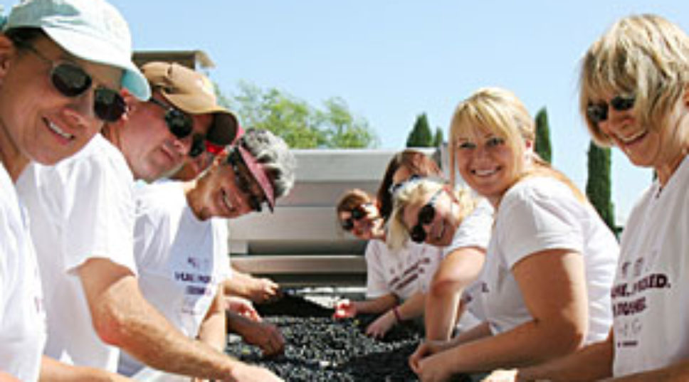 First Crush Winemaking Experience