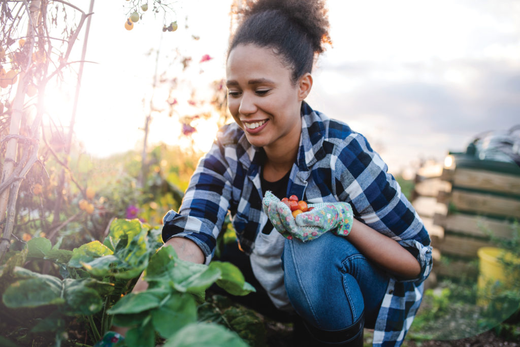 50+ Things to Do in Your Garden Now - Sunset Magazine